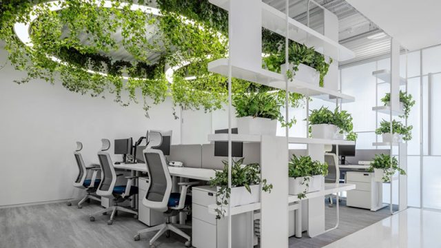 Công Ty Nội Thất Nào Đang Định Hình Xu Hướng Thiết Kế Tương Lai?