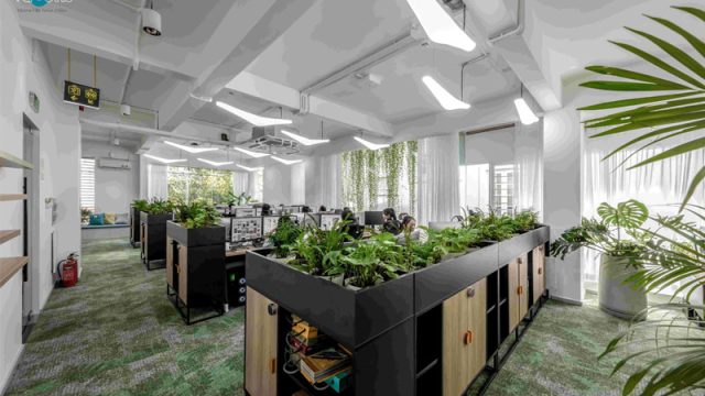 Góc Nhìn Xu Hướng Từ Các Công Ty Tư Vấn Thiết Kế Kiến Trúc Văn Phòng Hàng Đầu