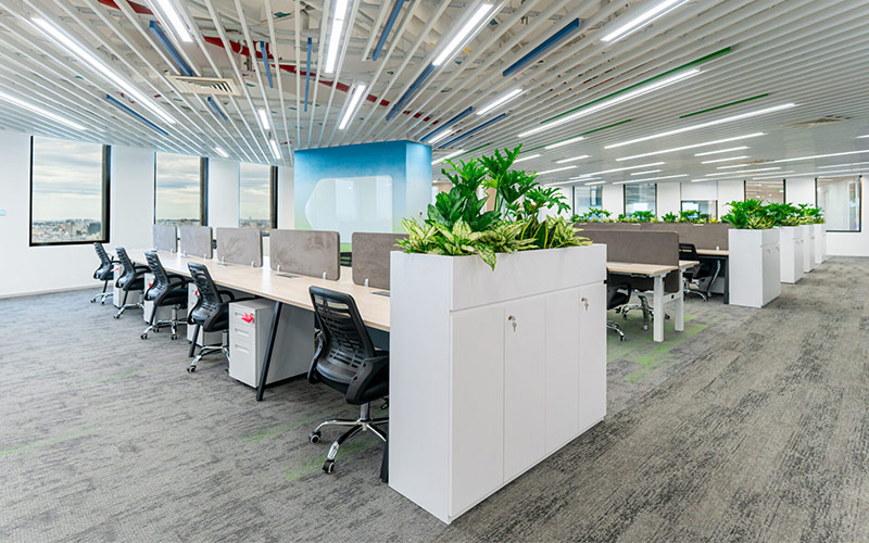 ghế công thái học