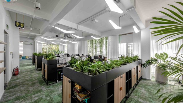Thiết Kế Văn Phòng Xanh: Xu Hướng Bền Vững 2026