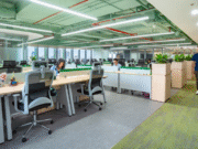 Điều Gì Khiến Ghế Nhân Viên Trở Thành Tâm Điểm Trong Thiết Kế Văn Phòng? ghế nhân viên