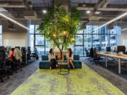 Yếu Tố Xanh Trong Thi Công Thiết Kế Nội Thất Văn Phòng thi công thiết kế nội thất