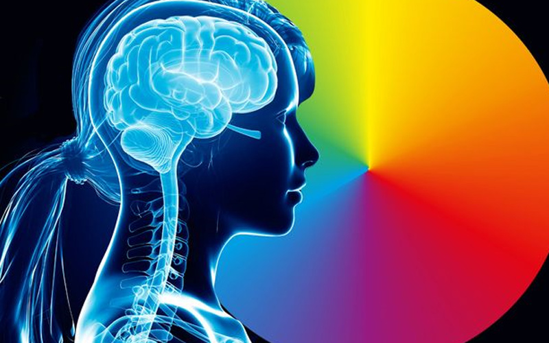 trang trí văn phòng