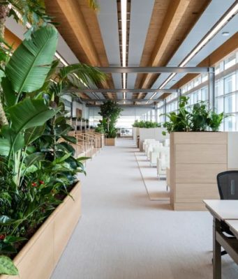 Tiêu Chuẩn Thiết Kế Văn Phòng Xanh Được Các Ông Lớn Theo Đuổi Thiết kế văn phòng xanh