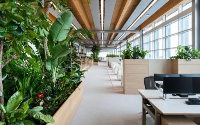 thiet-ke-van-phong-xanh-1 Thiết kế văn phòng xanh