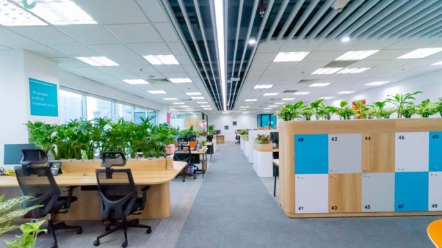 Bí Quyết Thiết Kế Văn Phòng Xanh Như Lạc Vào Thiên Nhiên