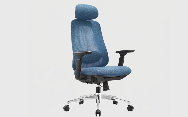 ghế công thái học chuẩn