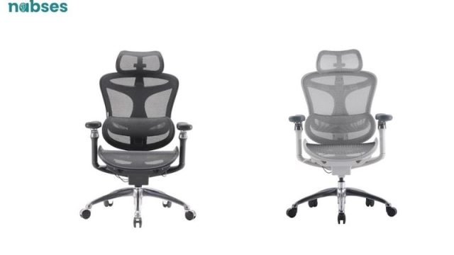 Kinh Nghiệm Mua Ghế Công Thái Học – Trợ Thủ Bảo Vệ Cột Sống